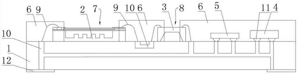Hydrophone integrated module and manufacturing process thereof
