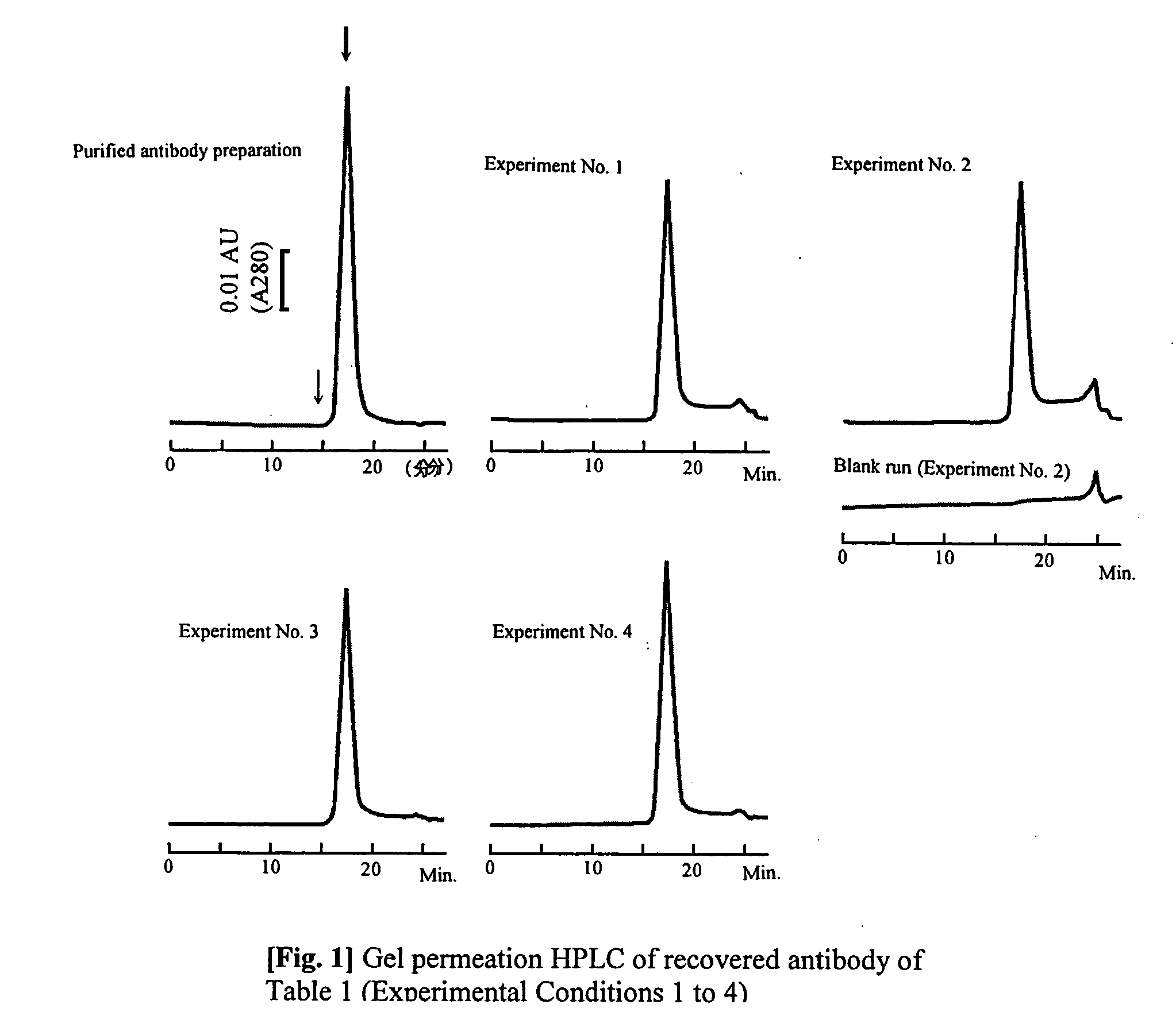 Purification method which prevents denaturation of an antibody