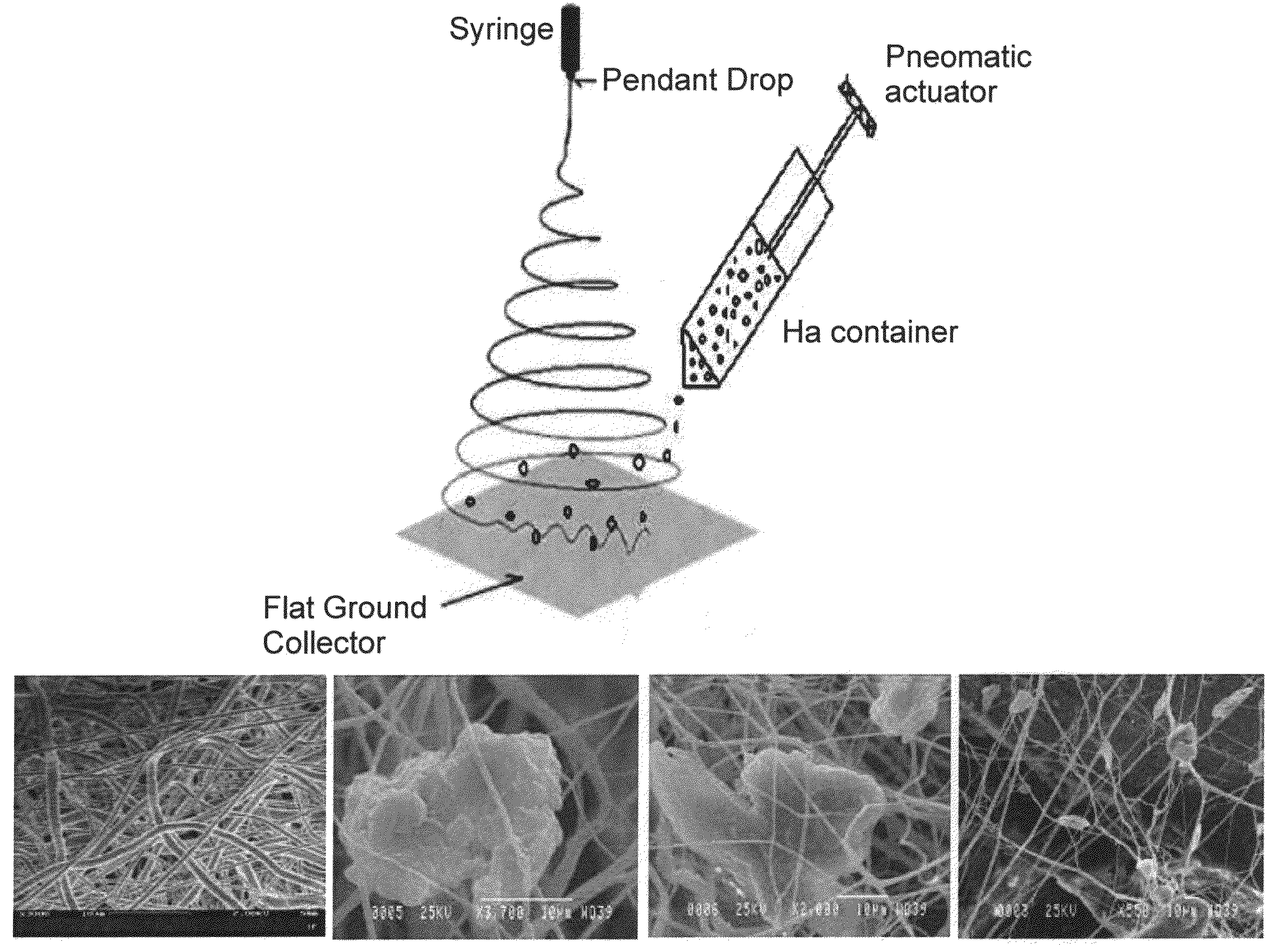 Electrospun Scaffolds And Methods Of Generating And Using Same