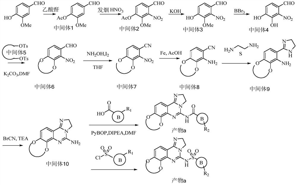 Imidazoquinazoline derivatives and their application in anti-tumor and anti-inflammation