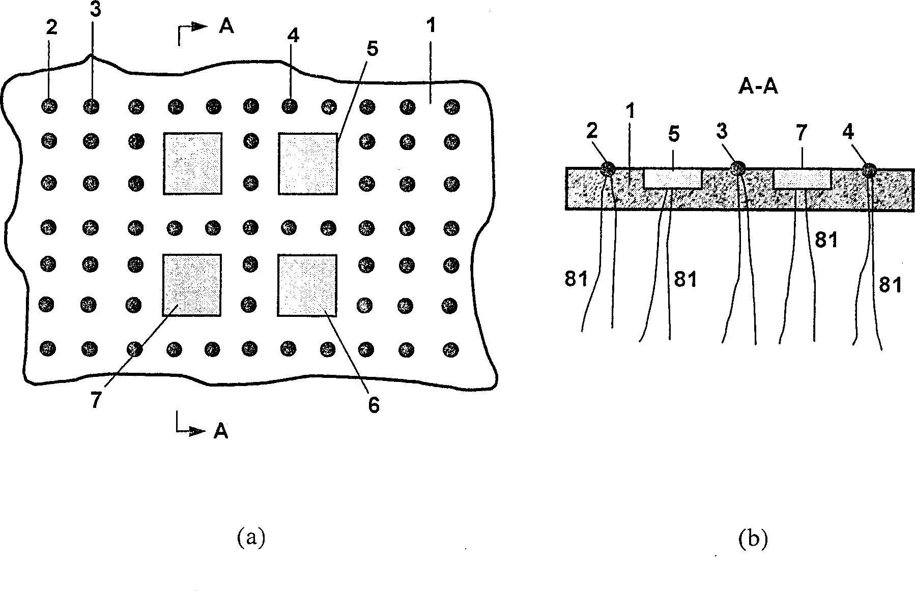 Digitized system for human body information acquisition and analysis processing