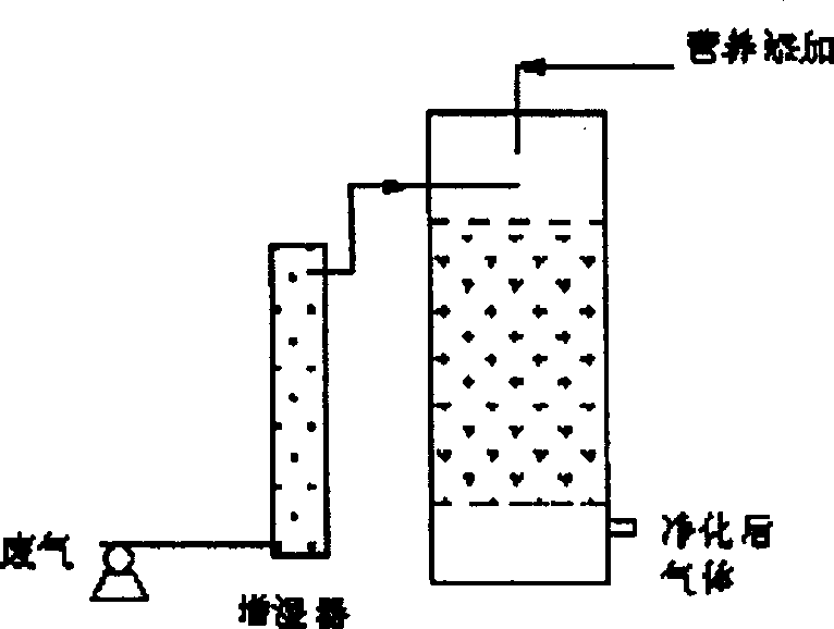Integral fungus deodorizing reactor and its operation method