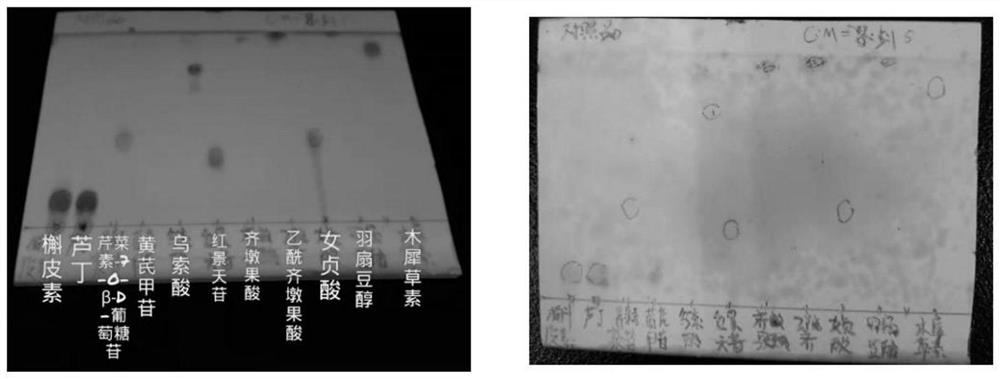 Pharmaceutical composition containing immunity enhancing drug effect material basis of astragalus membranaceus and glossy privet fruit immunity enhancing particles as well as preparation method and application of pharmaceutical composition