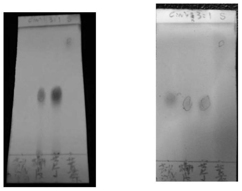 Pharmaceutical composition containing immunity enhancing drug effect material basis of astragalus membranaceus and glossy privet fruit immunity enhancing particles as well as preparation method and application of pharmaceutical composition