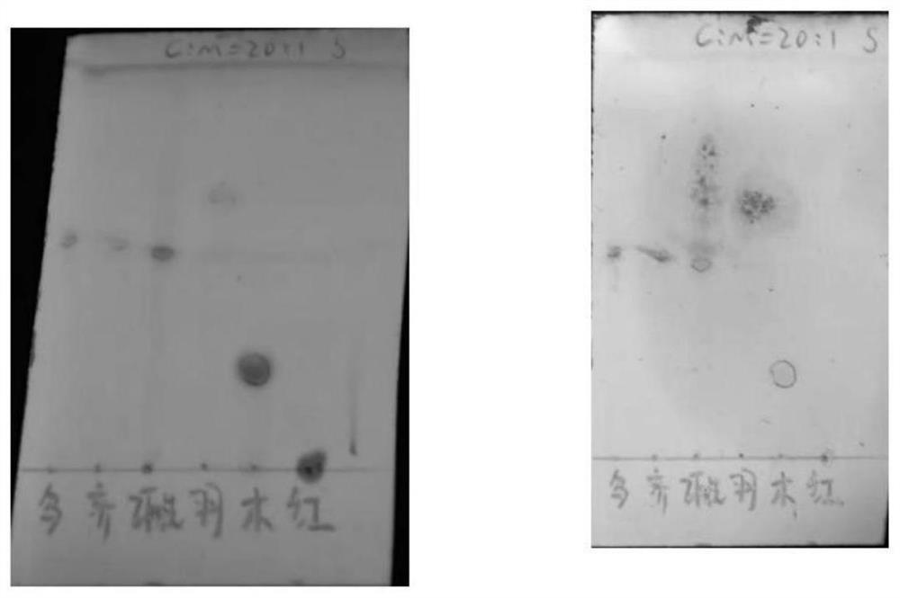 Pharmaceutical composition containing immunity enhancing drug effect material basis of astragalus membranaceus and glossy privet fruit immunity enhancing particles as well as preparation method and application of pharmaceutical composition