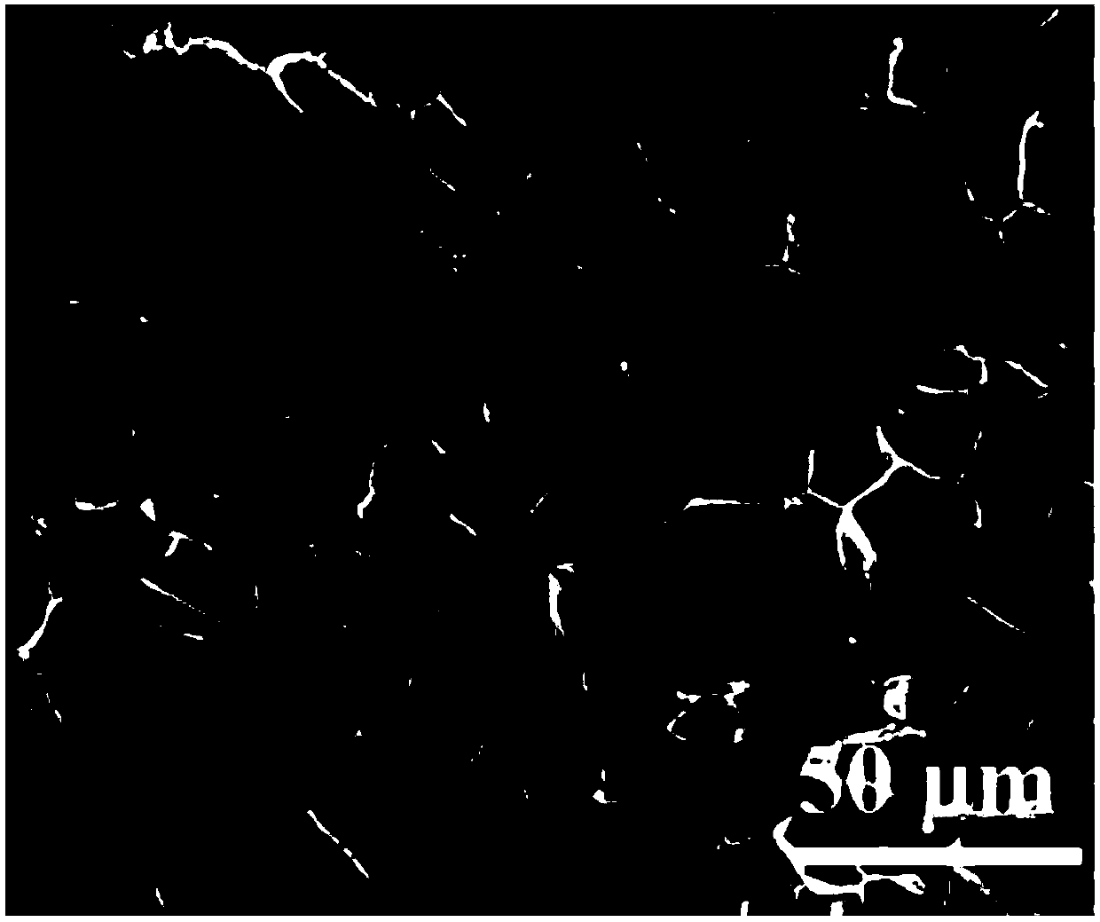 Blood protein responsive type gamma-PGA (polyglutamic acid) hydrogel hemostasis material as well as preparation method and application thereof