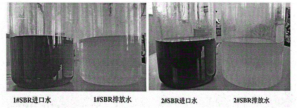Advanced treatment technology of high-salt-content degradation-resistant oil extraction sewage