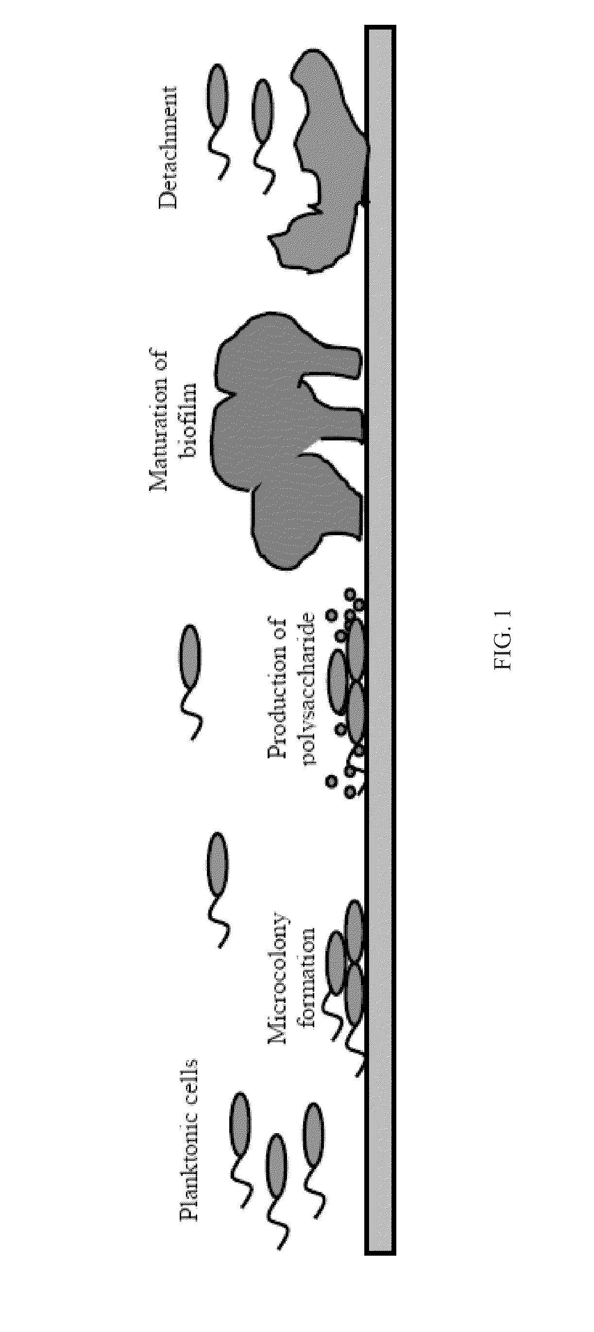 System And Method For Controlling Bacterial Persister Cells With Weak Electric Currents