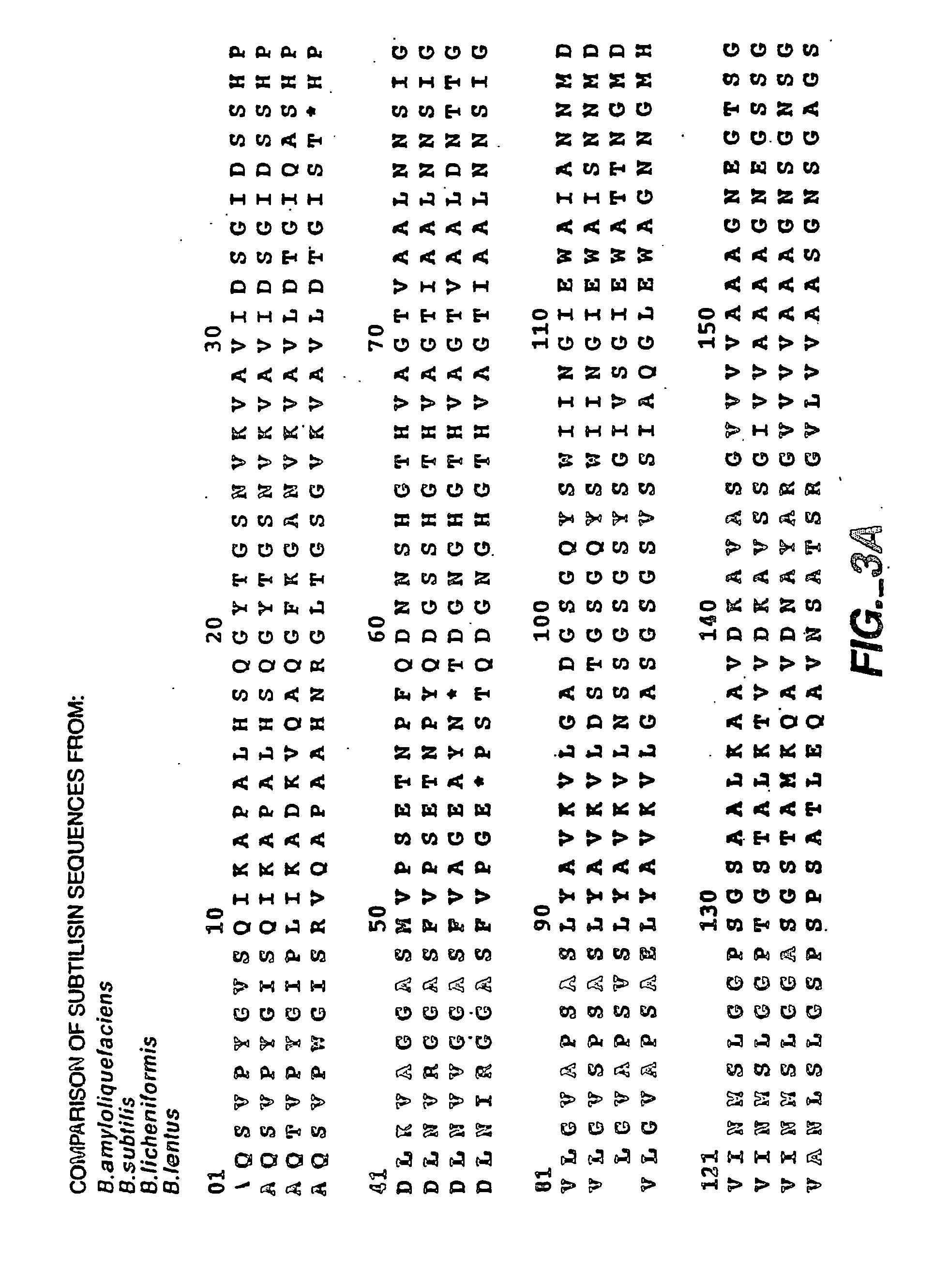 Methods for site-directed mutagenesis and targeted randomization