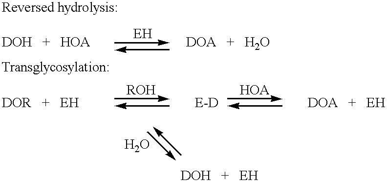 N-containing saccharides and method for the synthesis of N-containing saccharides from amino-deoxy-disaccharides and amino-deoxy-oligosaccharides