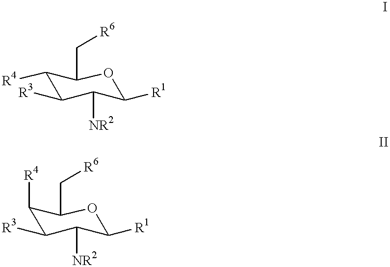 N-containing saccharides and method for the synthesis of N-containing saccharides from amino-deoxy-disaccharides and amino-deoxy-oligosaccharides