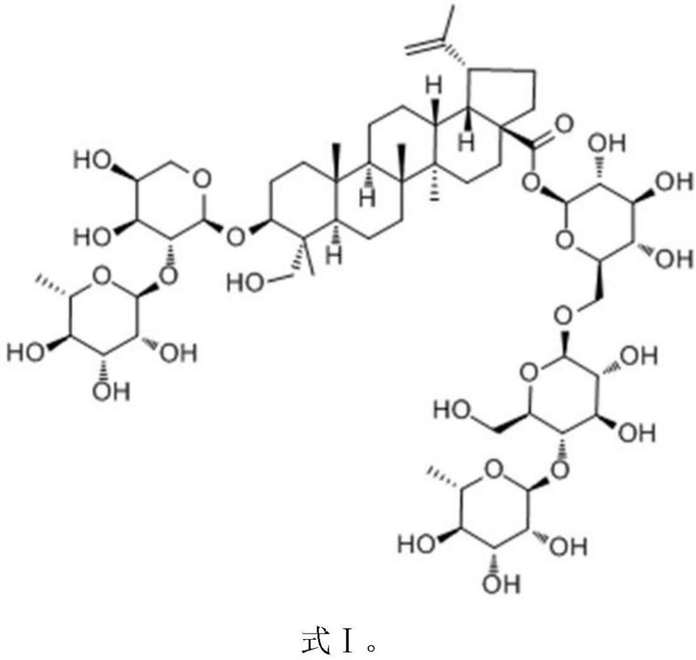 Use of a Pulsatilla extract in the preparation of medicines for treating viral and/or bacterial diseases