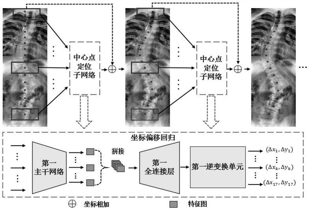 Construction method and application of spine mark point positioning model