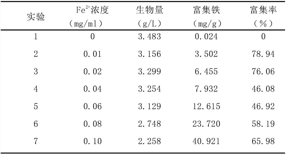 A kind of liquid submerged fermentation medium and culture method of iron-rich Cordyceps militaris