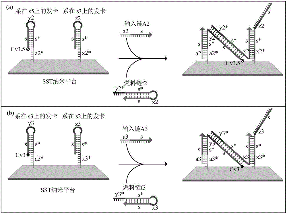 Phototonus logical circuit design method based on SST nanometer platform
