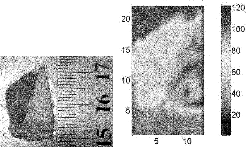 Photoacoustic elastic imaging method and device