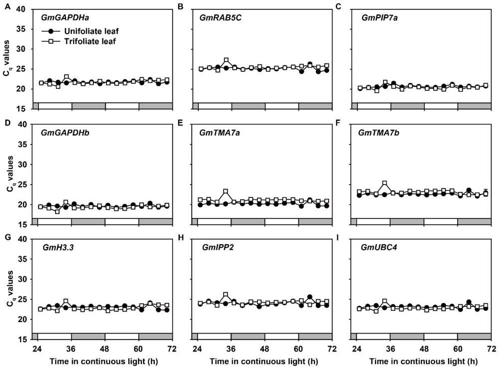 Soybean reference gene as well as detection primer and application thereof