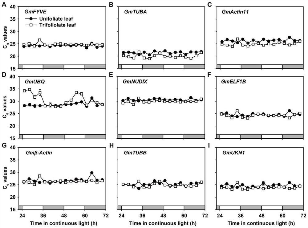 Soybean reference gene as well as detection primer and application thereof