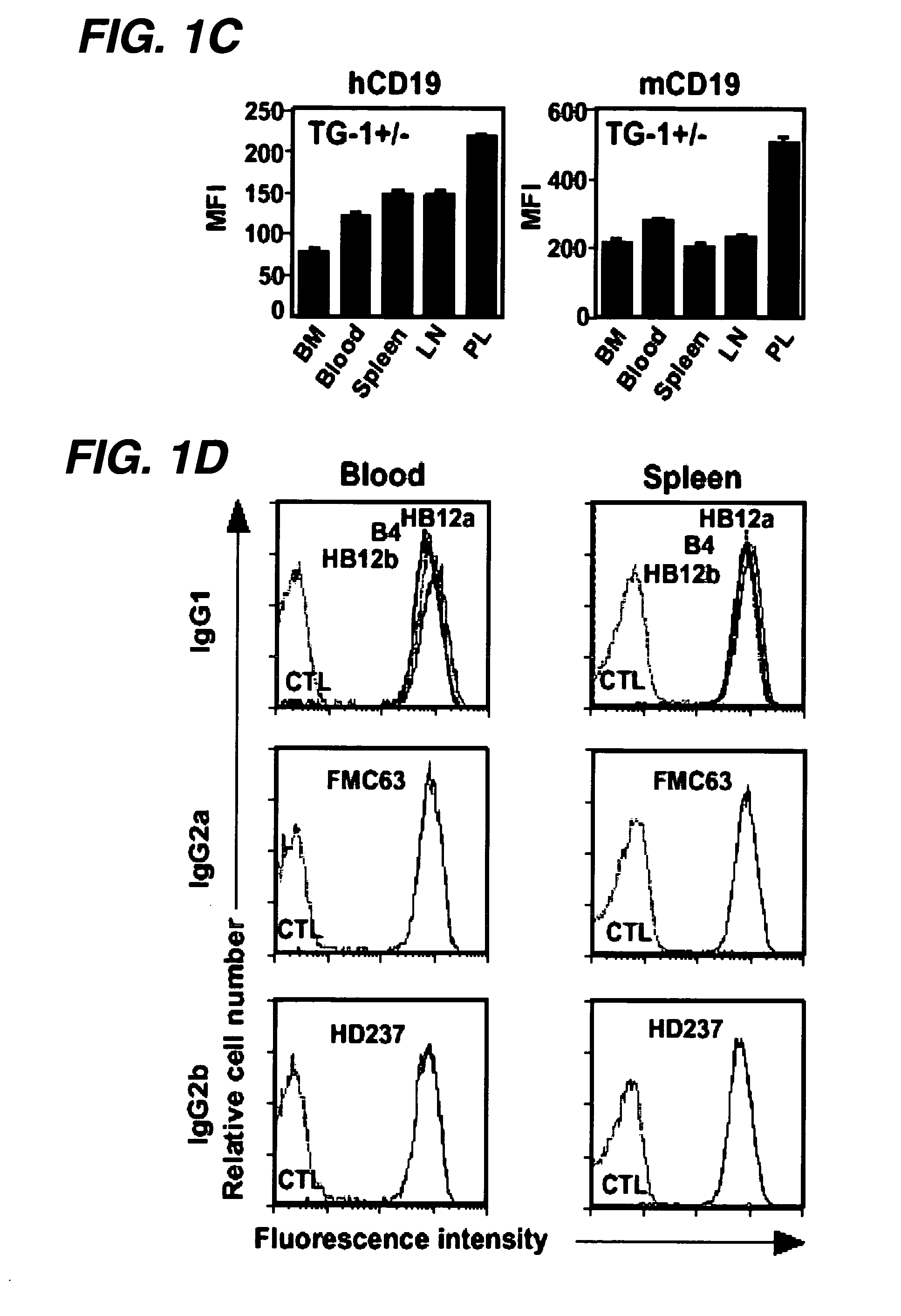 Anti-CD19 antibodies and uses in oncology