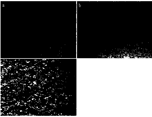 A method to improve the strength and strain fatigue life of aq80m magnesium alloy