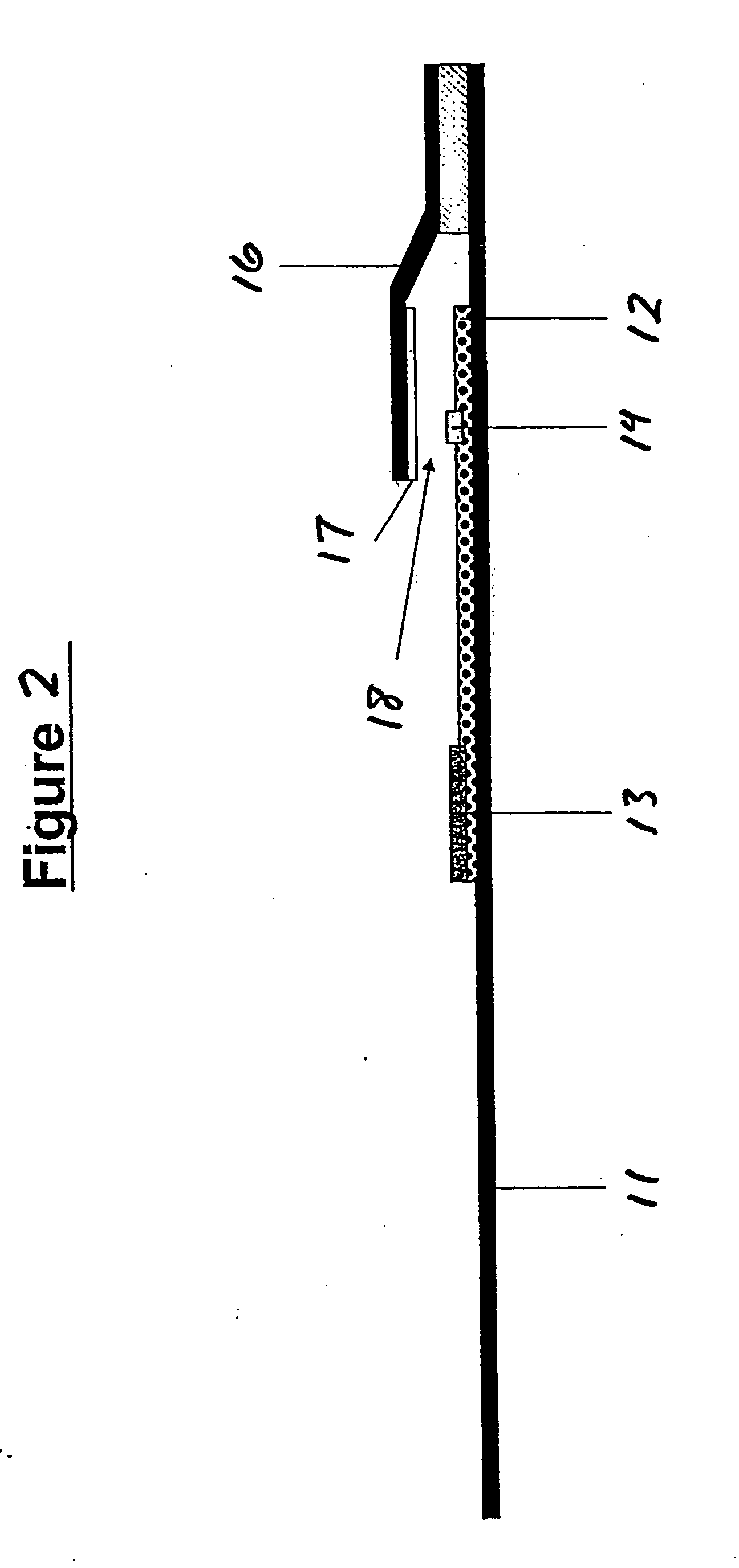 Assays for trichomonal and other hydrolases