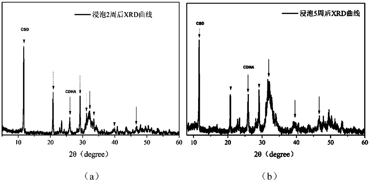 Bone cement with induction and degradation characteristics and preparation method of bone cement with induction and degradation characteristics