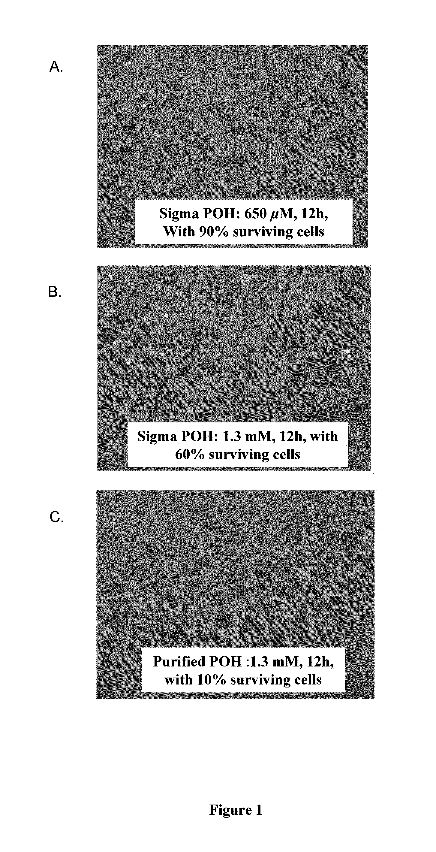 Pharmaceutical compositions comprising monoterpenes