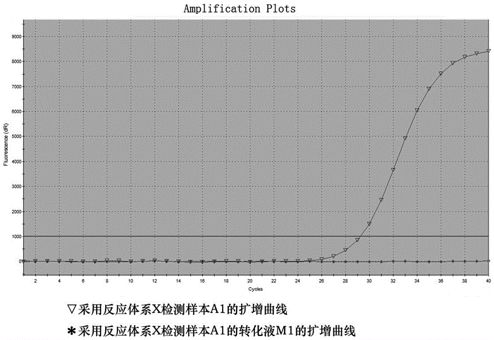 MGMT gene promoter methylation assay primer probe system and kit thereof