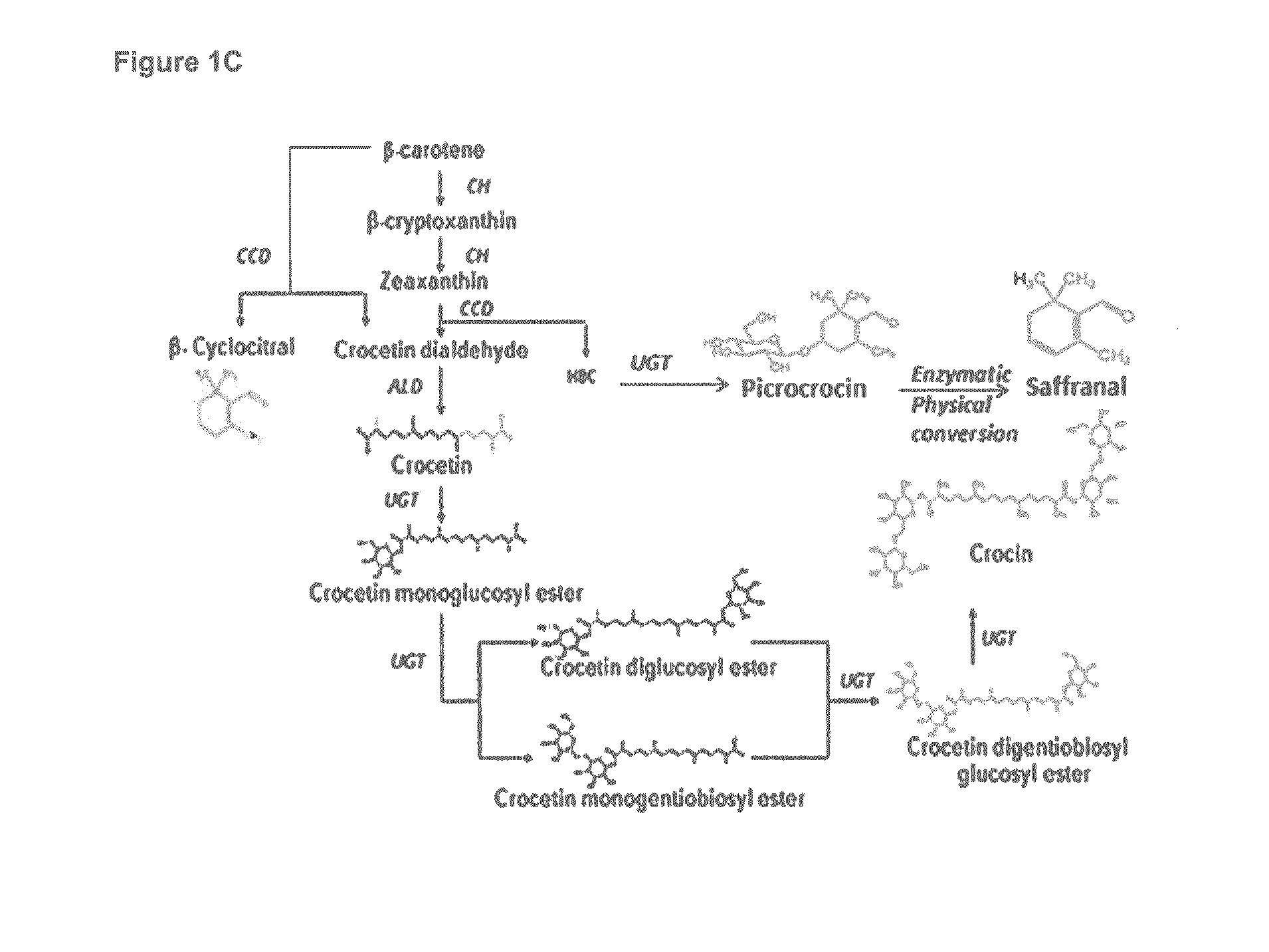 Methods for Recombinant Production of Saffron Compounds