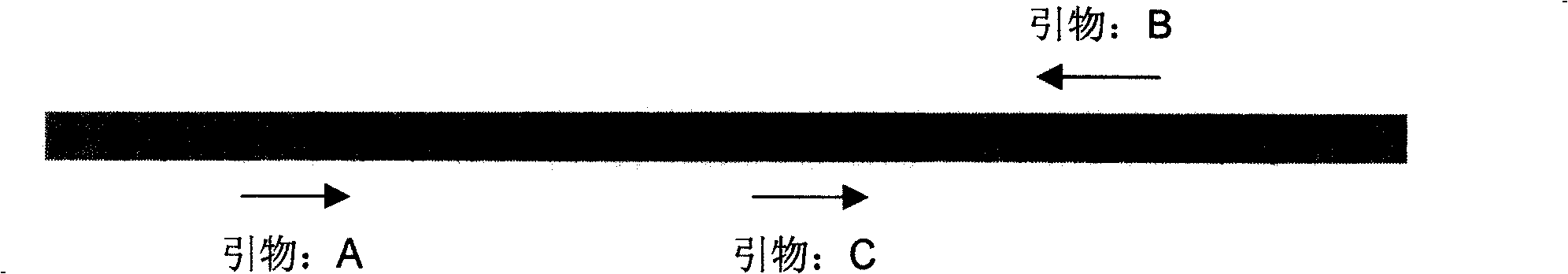 Gene for controlling rice ear sprouting period and its uses