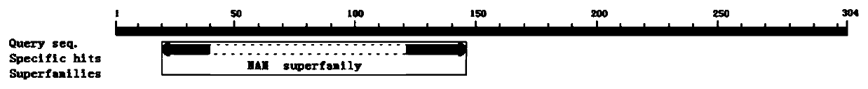 Application of soybean NAC transcription factor family gene Glyma08g41995