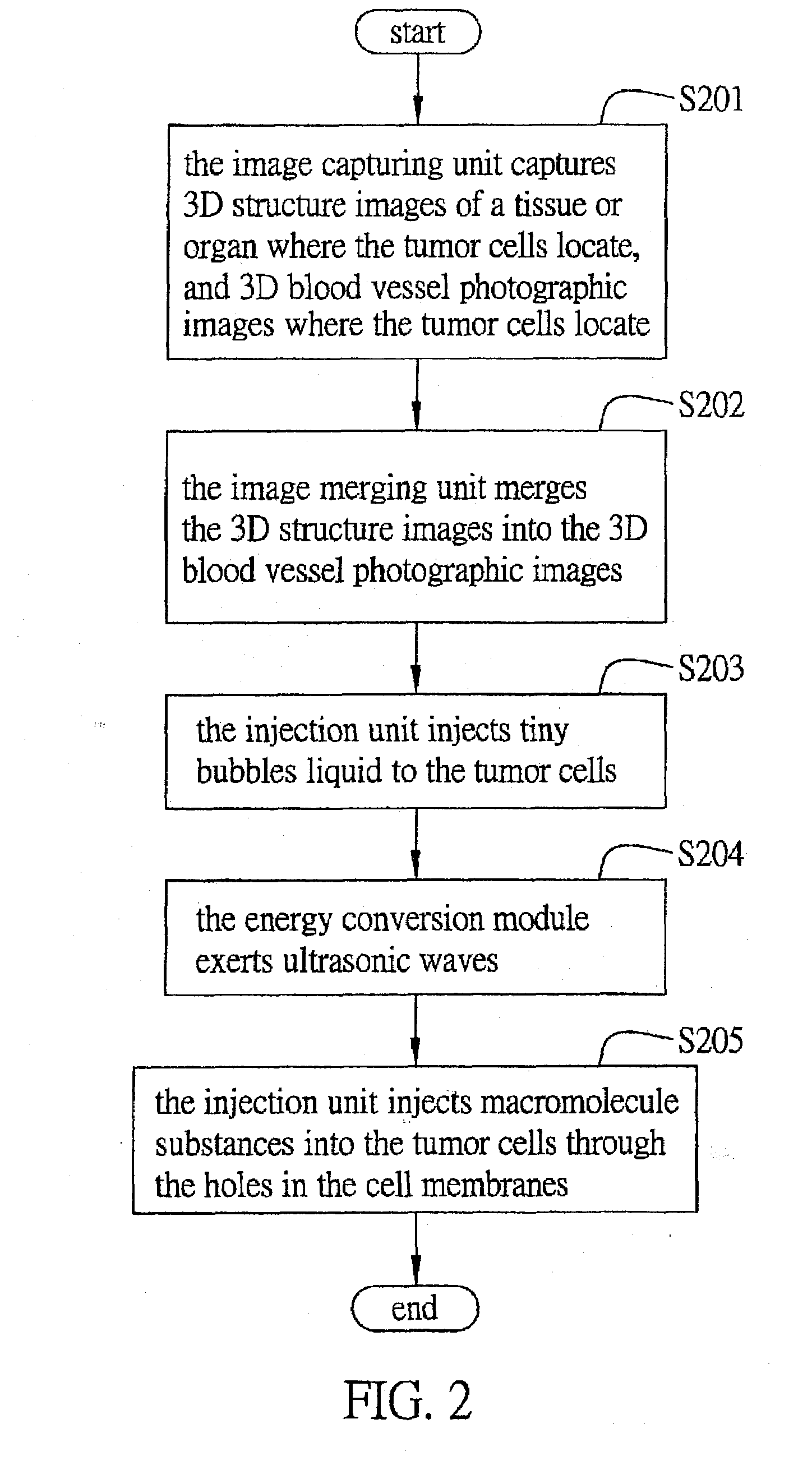 Method and System for Leading Macromolecule Substances into Living Target Cells