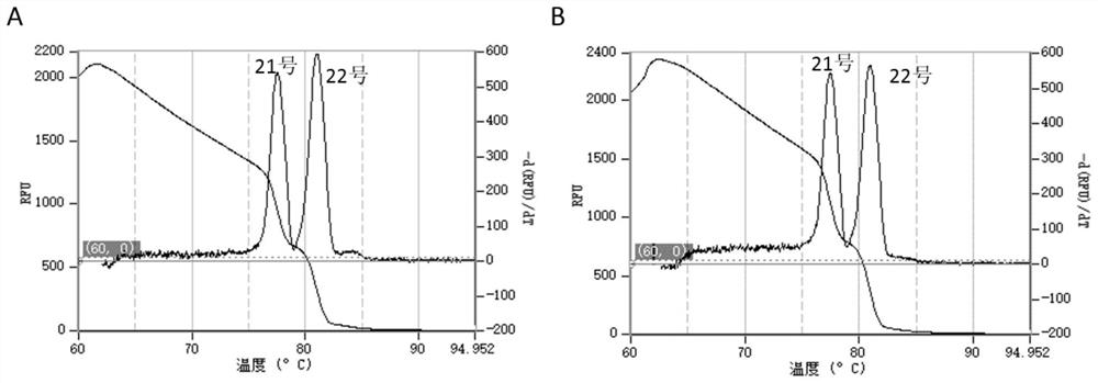 Kit for non-invasive prenatal diagnosis of fetal trisomy in pregnant women and method of use thereof