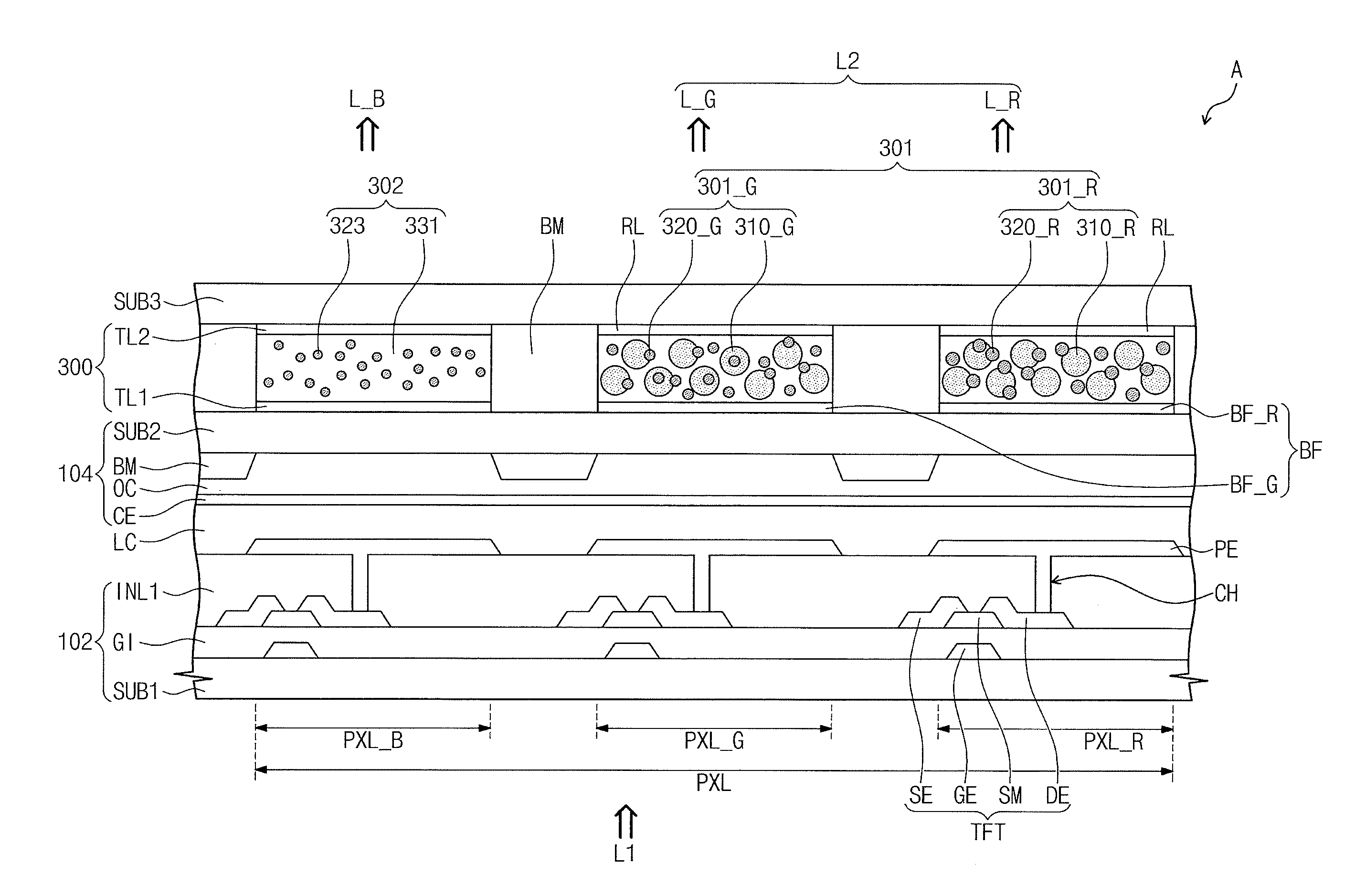 Display device including a color conversion layer