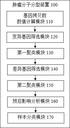 Tumor molecule typing method and device, terminal equipment and readable storage medium
