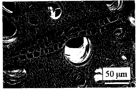 Preparation method of bionic erosion-resisting composite material enhanced phase based on rose willow