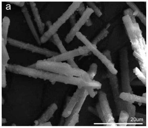 lini  <sub>0.8</sub> co  <sub>0.15</sub> al  <sub>0.05</sub> o  <sub>2</sub> Positive electrode material and preparation method thereof