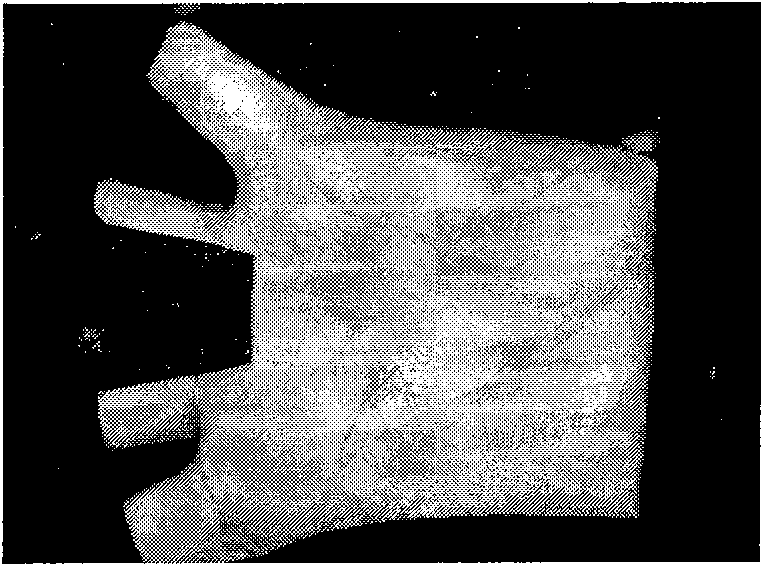 High precision palm print recognition method based on two-dimensional quadrature Log-Gabor filtering