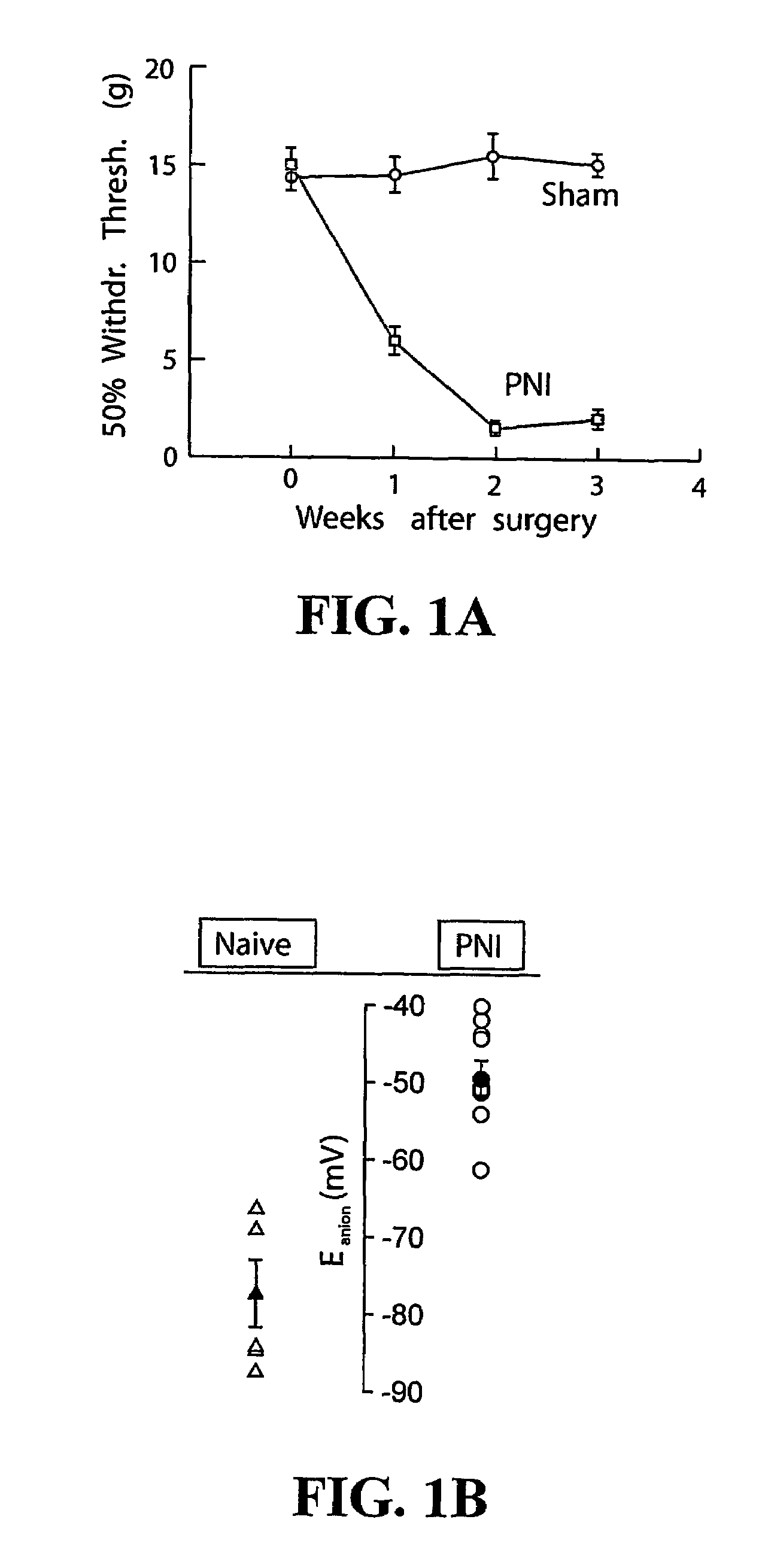 Method for identifying compounds for treatment of pain