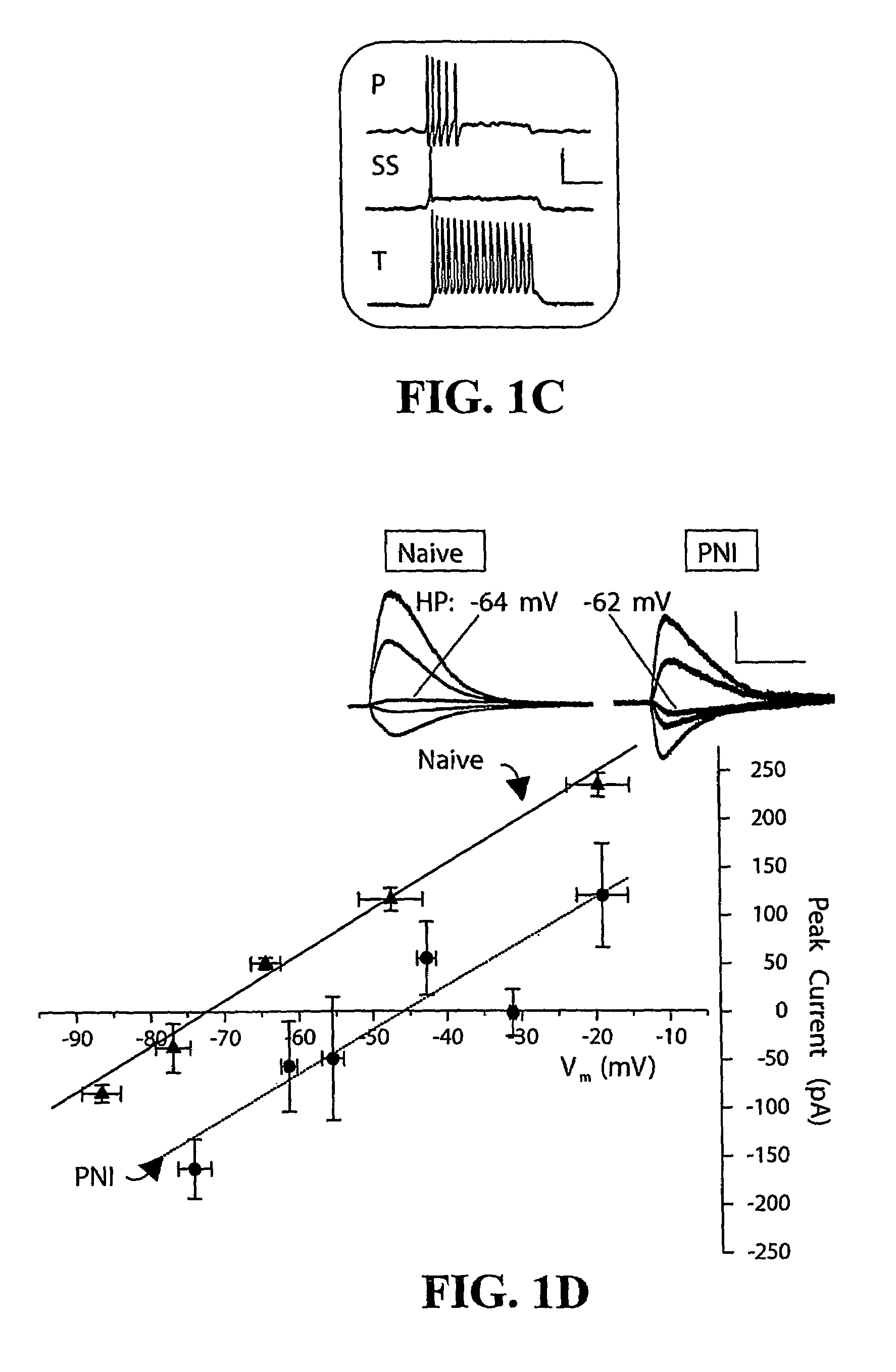 Method for identifying compounds for treatment of pain
