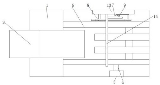 Honeysuckle primary processing and cleaning device with automatic discharging function