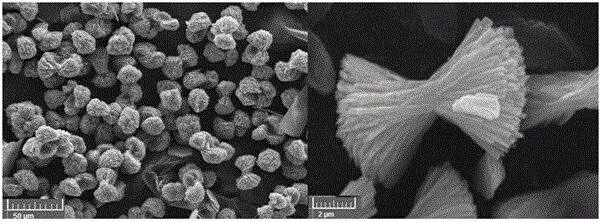 Preparation method of hydroxyl arsenic ferrous phosphate solid solution and application of method