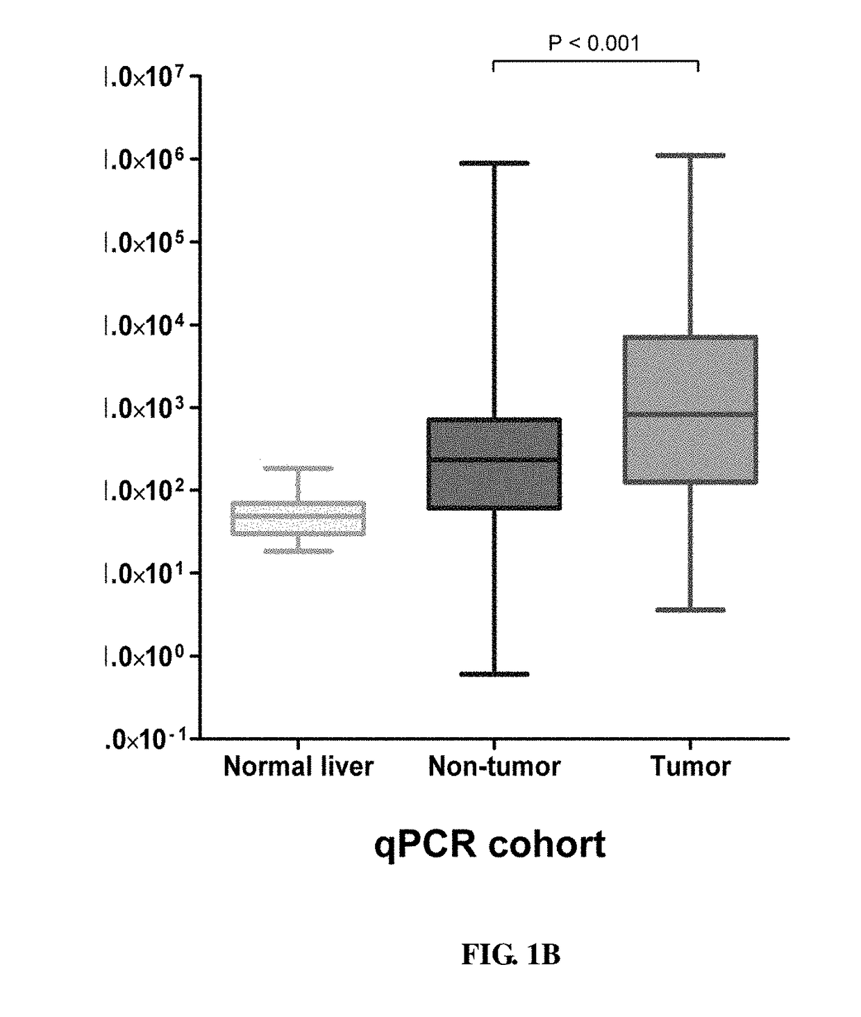 Use of Anti-dkk-1 monoclonal antibodies for treatment of liver cancer