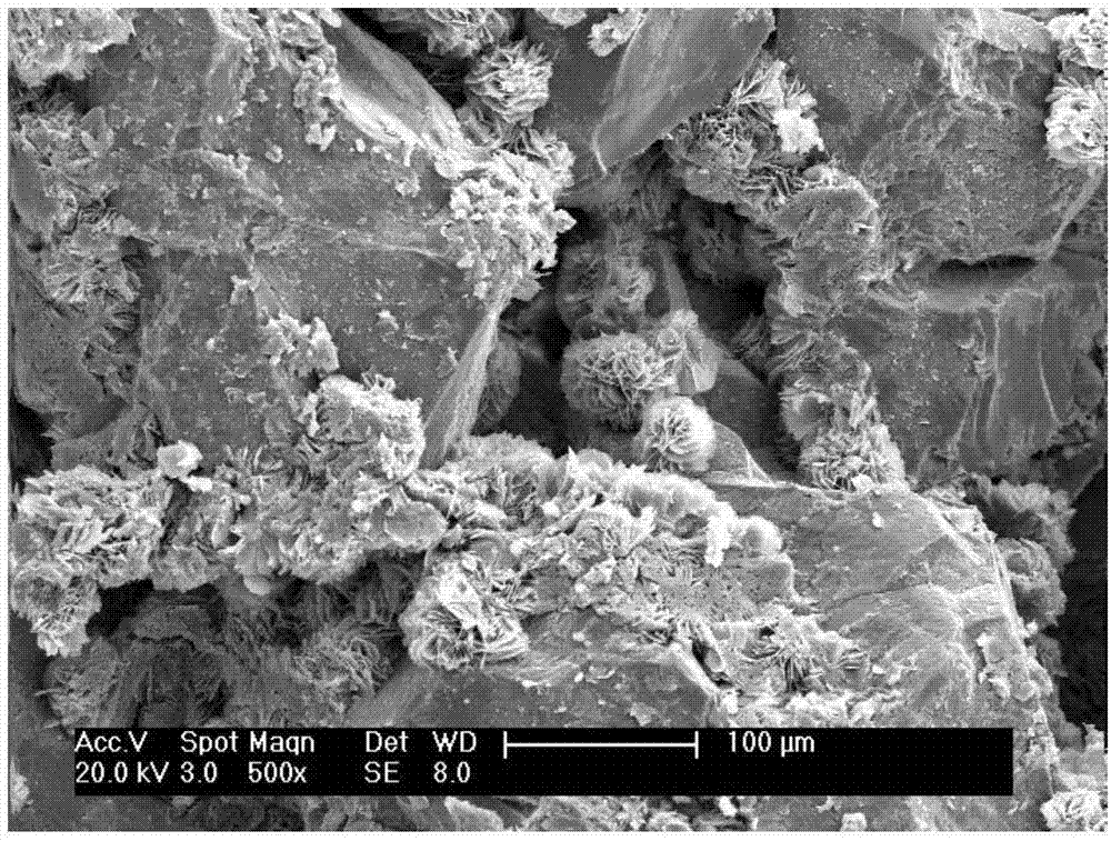 A method of consolidating loose sand particles using phosphate mineralizing bacteria