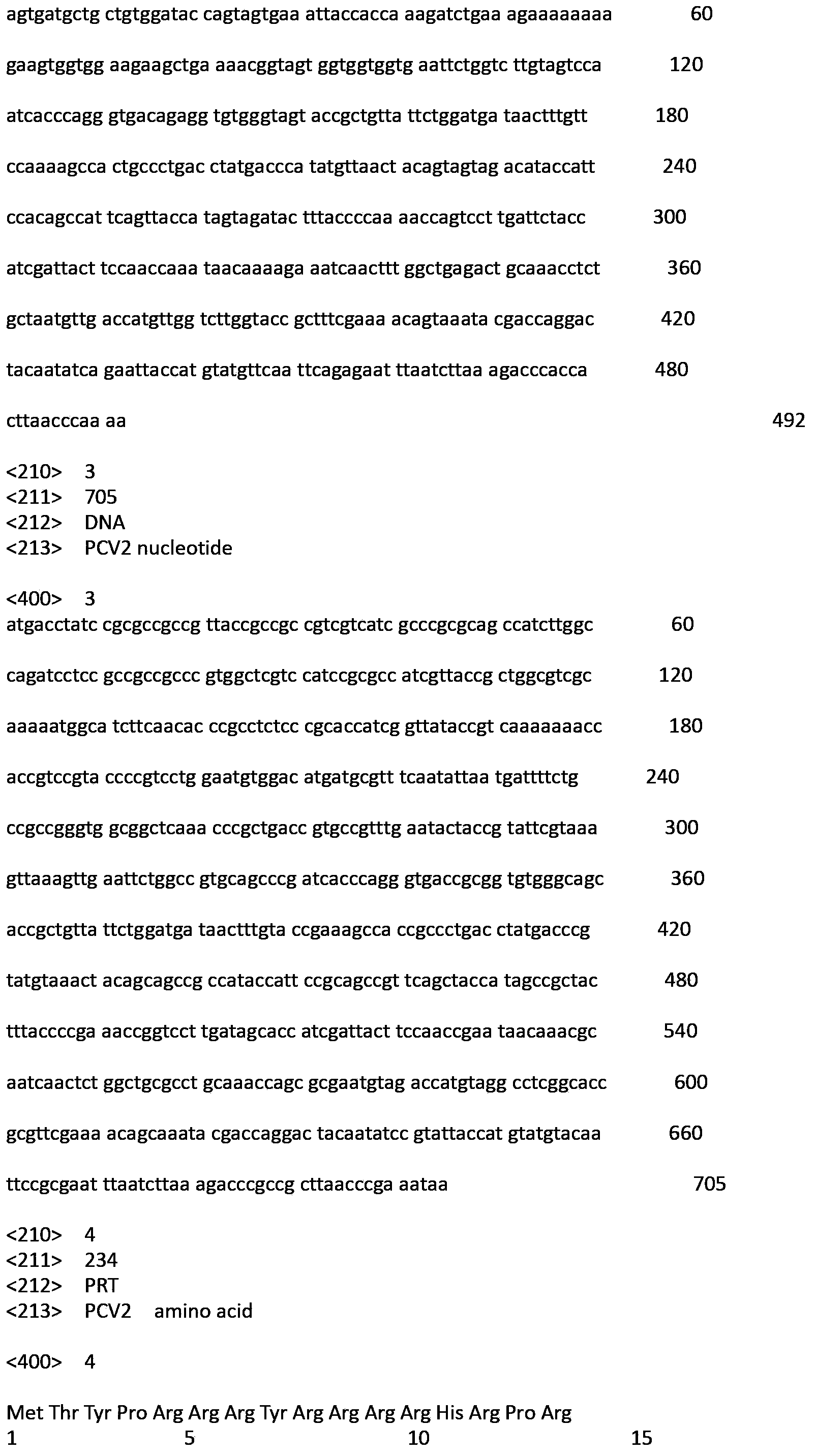 Porcine circovirus type 2 Cap protein and thymosin alpha1 fusion protein and application