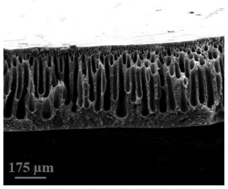 Preparation method of polyimide porous membrane containing amidoxime group