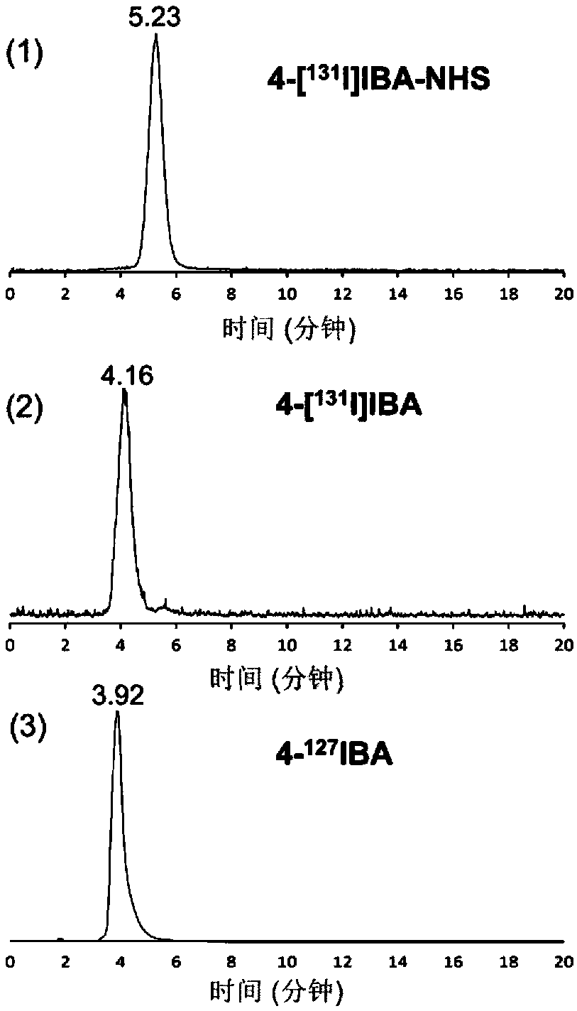 Radioactive iodine marked protein binding ligand and application thereof