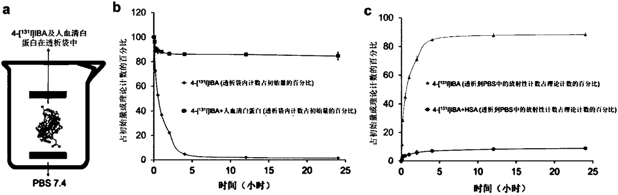 Radioactive iodine marked protein binding ligand and application thereof
