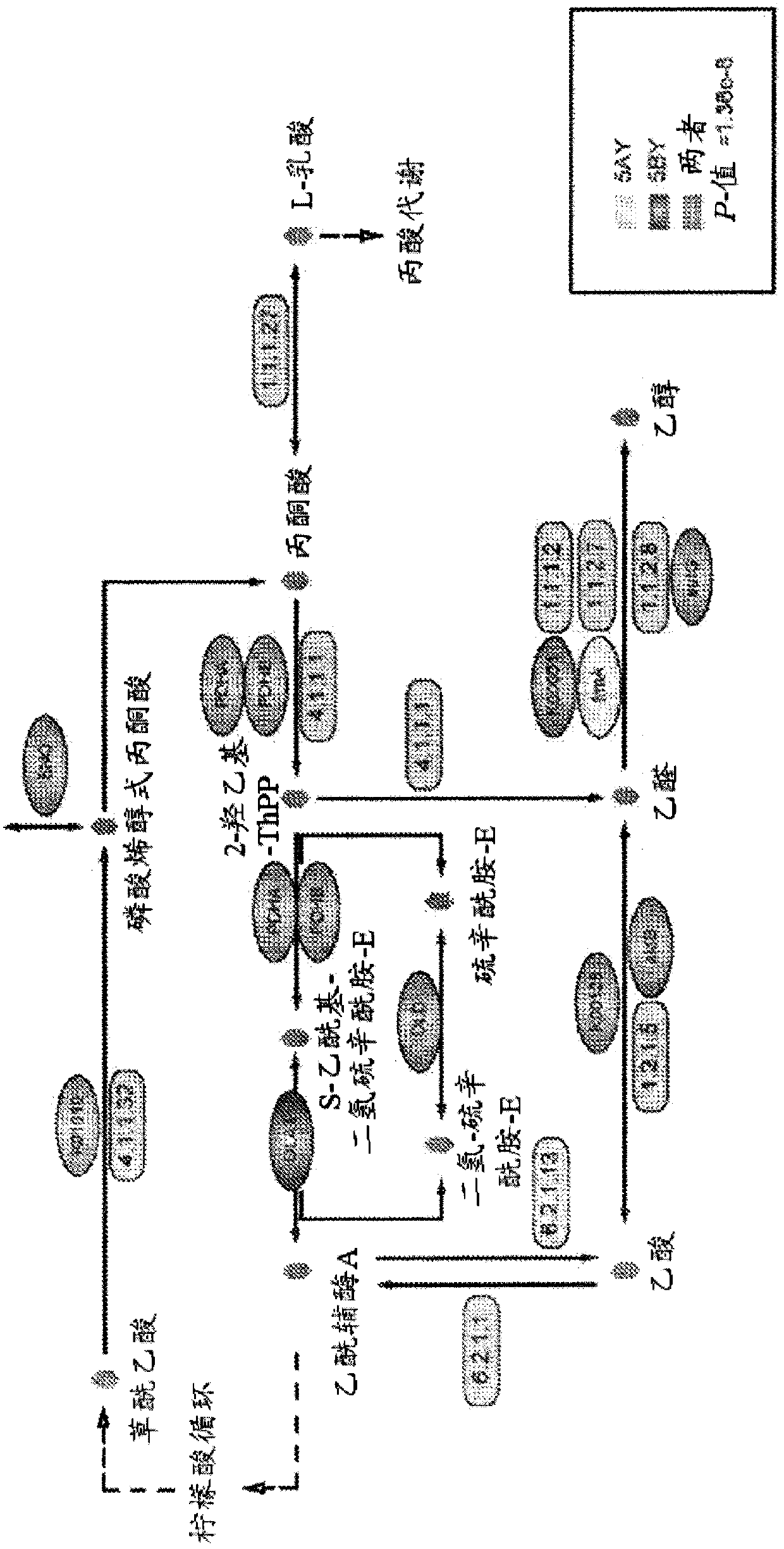 Seed endophytes across cultivars and species, associated compositions, and methods of use thereof