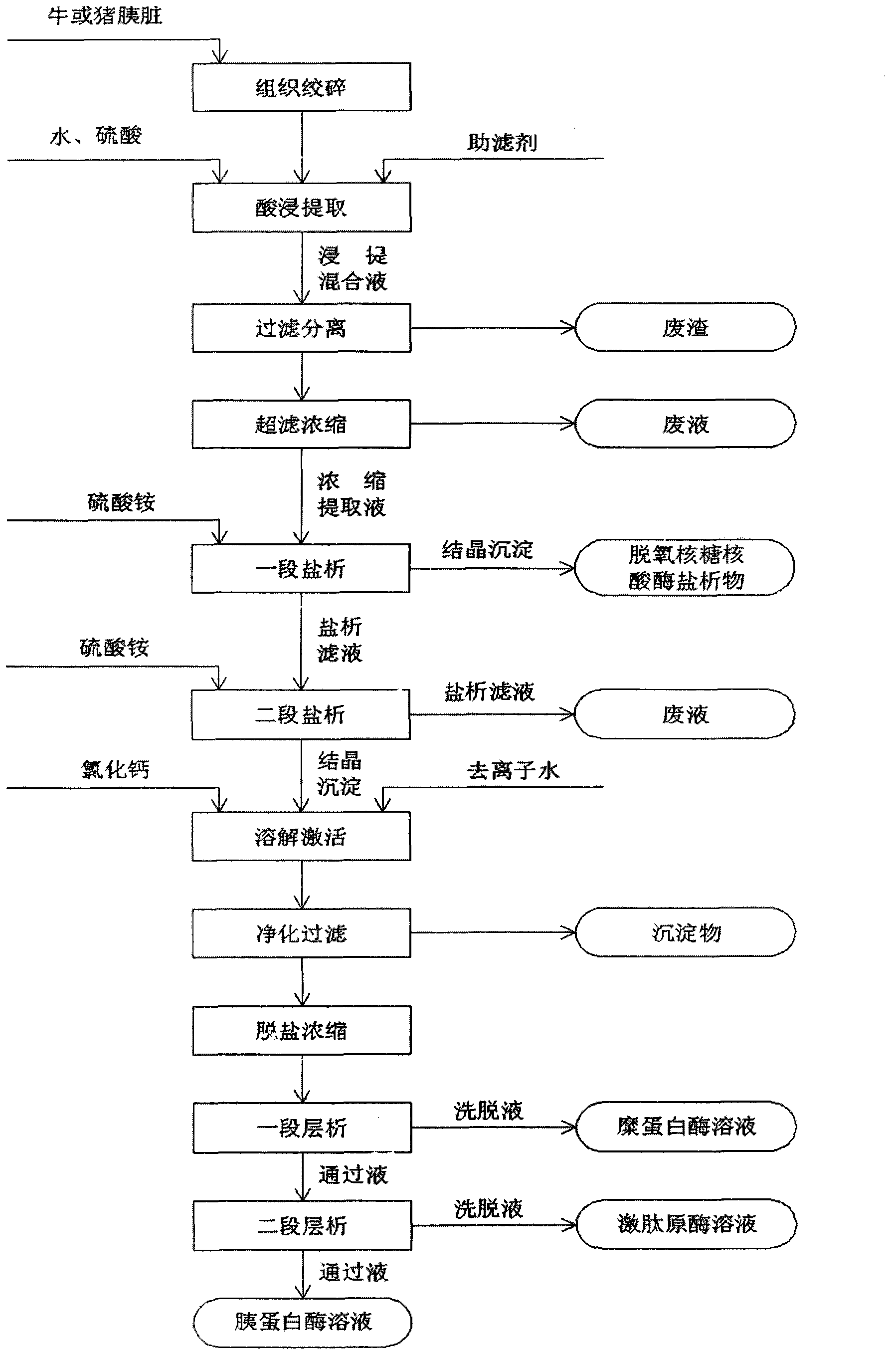 Production process for extracting four enzymes from cattle or pig pancreas
